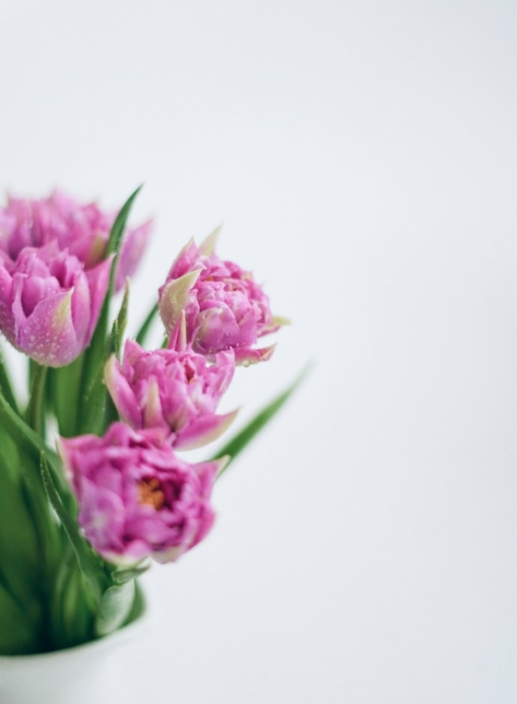 Hover Product Image