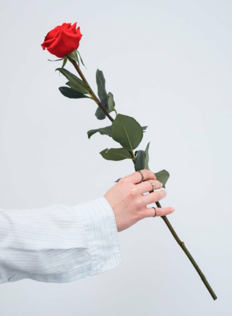 Hover Product Image